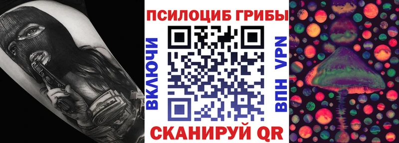 Псилоцибиновые грибы Psilocybe  Большой Камень 